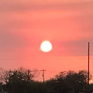 Meet your Posher, Omar